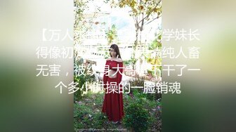 餐厅女厕抱着宠物来上厕所的美女 BB黑的像碳一样