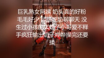 九曲 大凤风纪委员