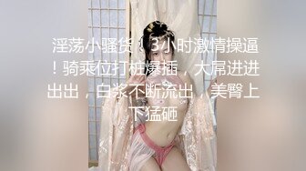 《极品反差淫妻》价值千元顶级山东绿帽癖NTR淫乱夫妇【小气质】私拍，诚邀各界实力单男3P露出相当火爆完整 (2)