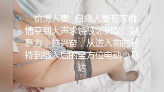 绳艺大师给熟女来个全套SM龟甲缚，奶子上还要贴个血滴子，狂虐这对极品大奶子【200V】 (25)