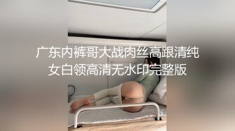 广东内裤哥大战肉丝高跟清纯女白领高清无水印完整版