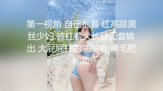 第一视角 自己抱着 红高跟黑丝少妇 被扛着大长腿无套输出 大屁屁打的啪啪响 稀毛肥鲍鱼