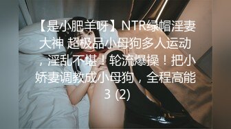 【是小肥羊呀】NTR绿帽淫妻大神 超极品小母狗多人运动，淫乱不堪！轮流爆操！把小娇妻调教成小母狗，全程高能 3 (2)