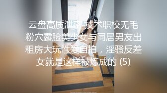 发情的大奶女仆