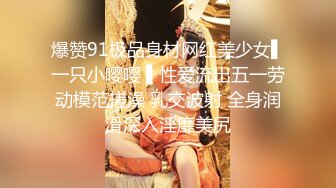 国产麻豆AV 麻豆US LAA0004 性爱瑜珈 Haley Reeds