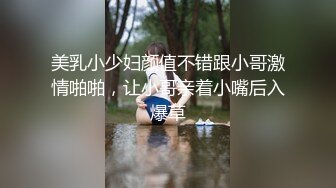 美乳小少妇颜值不错跟小哥激情啪啪，让小哥亲着小嘴后入爆草