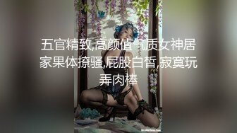 Mr.Sr調教巨乳淫妻束縛假屌虐插騷穴 穿黑絲情趣互舔無套打樁內射等 720p