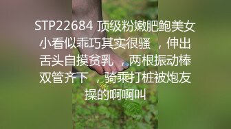 TMW014.徐夜夜.巨乳小姨子淫荡色诱.新春第一炮直接献给她.天美传媒