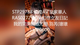 STP29788 國產AV 皇家華人 RAS0272 POV 幻想女友日記 我的完美嫩鮑尤物 羽芮(壞壞) VIP0600