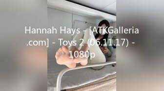 Hannah Hays - [ATKGalleria.com] - Toys 2 (06.11.17) - 1080p