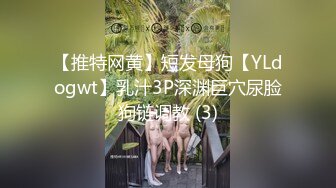 【推特网黄】短发母狗【YLdogwt】乳汁3P深渊巨穴尿脸狗链调教 (3)