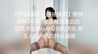 [无码破解]MDYD-900 夫のために… どれだけ犯されても堕ちない人妻 澤村レイコ