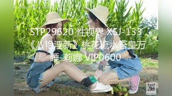 STP29620 性视界 XSJ-133《八艳淫新》桃花流水吾皇万睡-莉娜 VIP0600