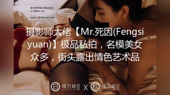 摄影师大佬【Mr.死因(Fengsiyuan)】极品私拍，名模美女众多，街头露出情色艺术品