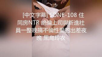    [中文字幕] SONE-108 住同房NTR 絶倫上司與新進社員一整晚搞不倫性愛的出差夜晚 黑島玲衣