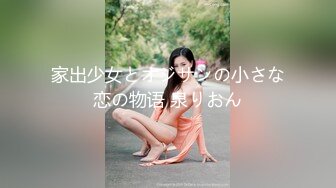 家出少女とオジサンの小さな恋の物语 泉りおん