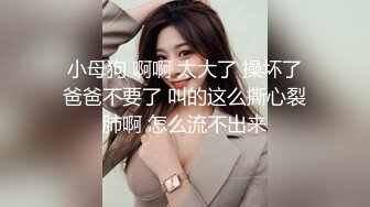 露脸大胸美女舔完鸡巴就挨操，颜值颇高，叫声诱人