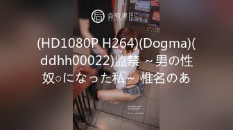 (HD1080P H264)(Dogma)(ddhh00022)监禁 ～男の性奴○になった私～ 椎名のあ