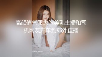 高颜值气质大胸美乳主播和司机网友开车到郊外直播