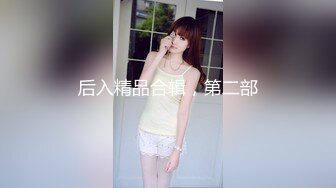 后入精品合辑，第二部