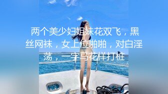 极品美乳人妻 刚接完孩子就过来了