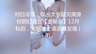 对白淫荡，极品大长腿完美身材阴钉骚女【金秘书】12月私拍，火锅店上桌道具发骚 (4)