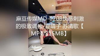 麻豆传媒MD-0208快感刺激的极致调教-夏晴子 苏清歌【MP4/315MB】