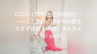 8/22最新 调教黑丝母狗肉棒刺入淫声浪叫二洞双开才能满足VIP1196