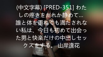 (中文字幕) [PRED-351] わたしの疼きをだれか静めて… 誰と体を重ねても満たされない私は、今日も初めて出会った男と快楽だけの中出しセックスをする。 山岸逢花