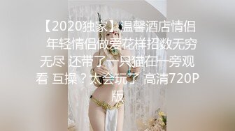 【2020独家】温馨酒店情侣❤年轻情侣做爱花样招数无穷无尽 还带了一只猫在一旁观看 互操？太会玩了 高清720P版