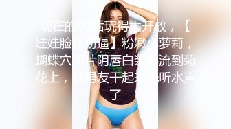 嫉妒沉迷于女仆的男友…过激女仆装扮全力乳交的女友 安达夕莉