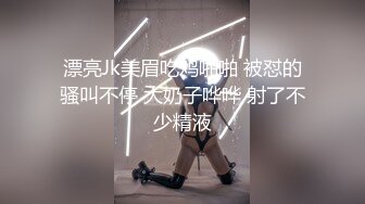 推荐热门SPOP舞蹈工作室加密破解版，极品身材白皙女神【丽莎】露逼露奶情趣装顶胯摇摆挑逗 (3)