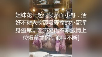 -万人追踪推特SS级完美身材绿茶婊【桐柳】私拍 身材火辣颜值高 有钱人的性爱工具