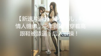 ATID-422 被丈夫的儿子侵犯的未亡人 桜樹玲奈【BVPP】