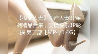 【极品人妻】国产人妻3P系列精品合集，交换快乐3P轮操 第二部【MP4/1.4G】