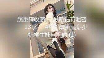 超重磅收藏❤️最新钻石泄密❤️23季❤️4K高清原画质-少妇学生妹自拍偷 (1)