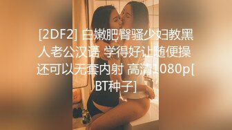 [2DF2] 白嫩肥臀骚少妇教黑人老公汉语 学得好让随便操 还可以无套内射 高清1080p[BT种子]