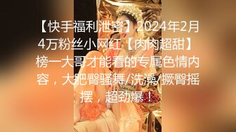 [无码破解]SAN-228 近親相姦 母の愛玩人間 / 流川莉央