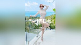 女友二姐是个骚货