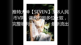 推特大神【SEVEN】388人民币VIP，调教约啪多位女奴，完整福利一网打尽，最新流出佳作 (3)