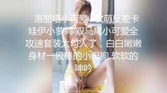 视觉享受，黑丝包臀裙，巨屌操美臀，脱下丁字裤，扶屌磨蹭骚穴，第一视角，翘臀上下摆弄