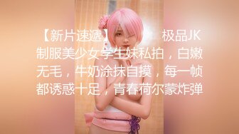 小钢炮完美视角