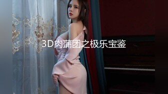 3D肉蒲团之极乐宝鉴