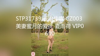 STP31739 长治传媒 CZ003 美妻蜜月的爱抚 夏雨荷 VIP0600