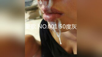 豪歌 NO.001 50度灰