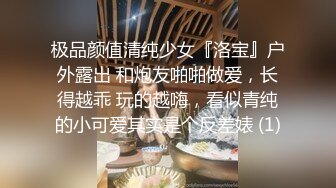 最美极品微博推特网红女神『张H玉』大尺度私拍啪啪视频整合流出 穷人的女神 富人的精盆 高清720P版