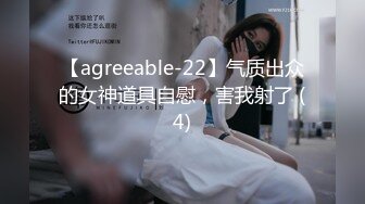 【agreeable-22】气质出众的女神道具自慰，害我射了 (4)