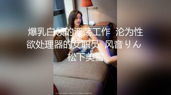 爆乳白领的淫荡工作  沦为性欲处理器的女职员  风音りん 松下美雪