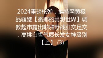 2024重磅核弹，推特网黄极品骚婊【露娜的異想世界】调教超市露出啪啪野战肛交足交，高挑白皙气质长发女神级别【上】 (3)