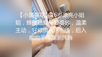 【小黑探花】26岁漂亮小姐姐，蜂腰翘臀身姿曼妙，温柔主动，好似情人再相逢，后入啪啪干得高潮阵阵